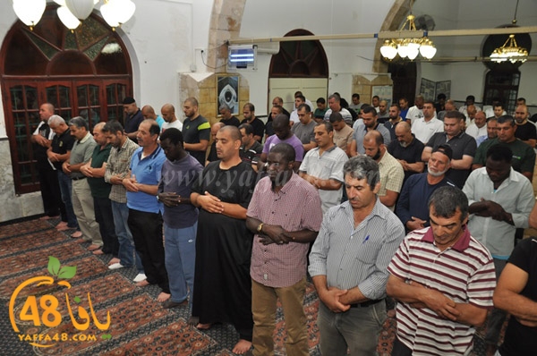 7san bek jsh (3).JPG